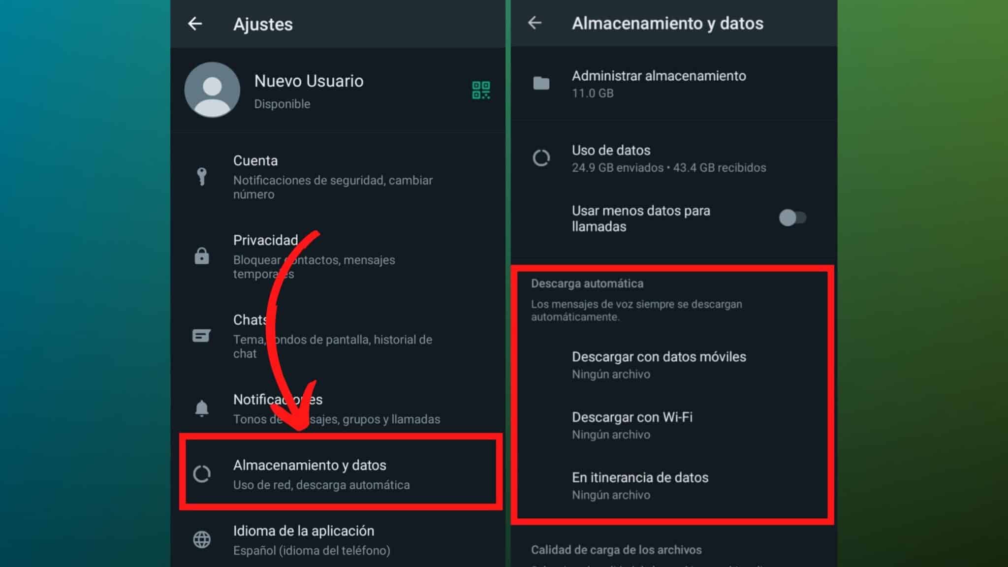 C Mo Borrar Archivos De Whatsapp En Android Y Ios