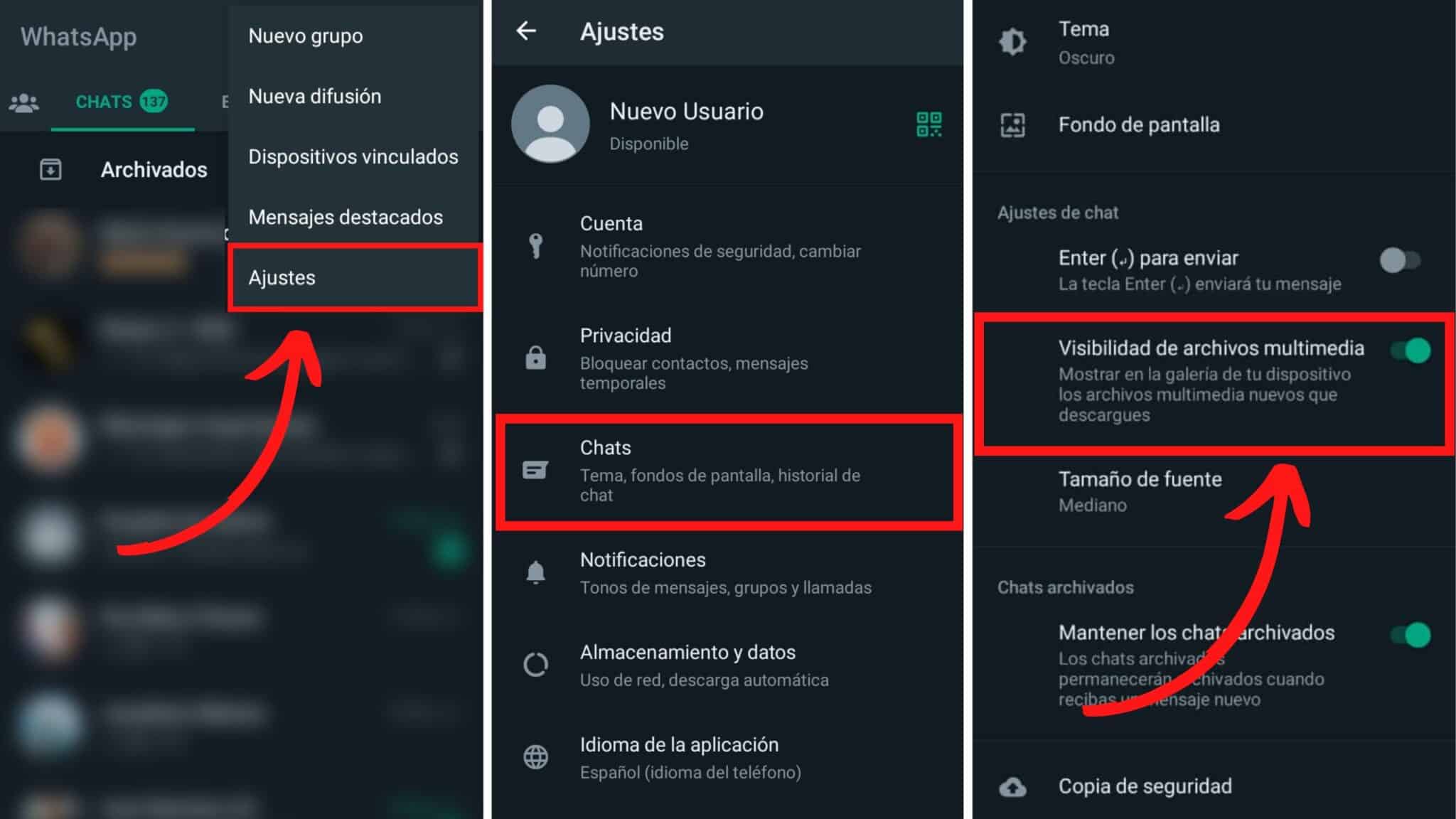 Cómo Descargar Las Fotos De Whatsapp Fácil Y Rápido 1589